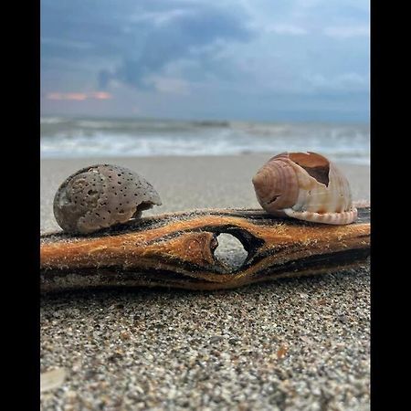Cocoa, Beach House Ngoại thất bức ảnh