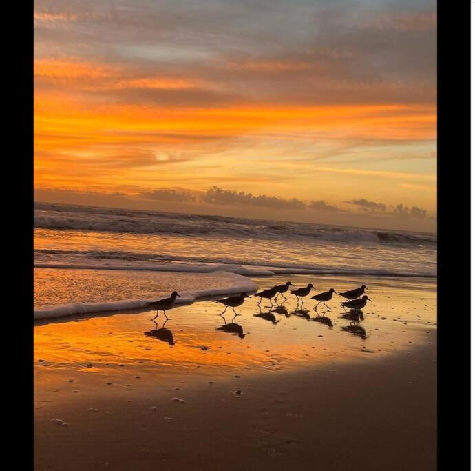 Cocoa, Beach House Ngoại thất bức ảnh
